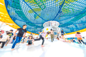 ひまわりの丘公園