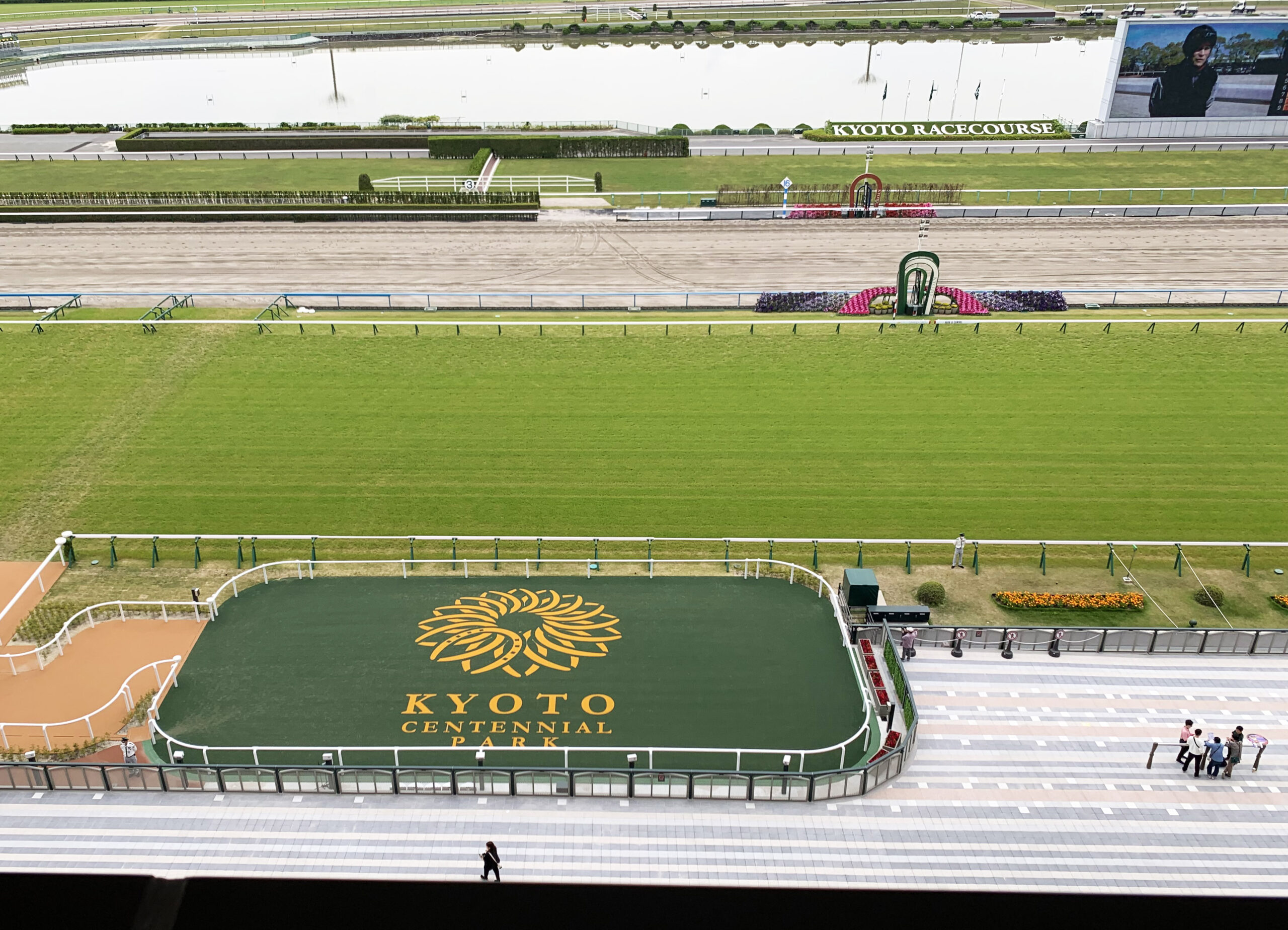 京都競馬場 ゴール板